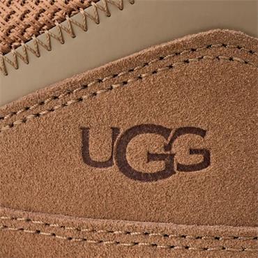 UGG WOMENS LACE TRAINER - CHESTNUT